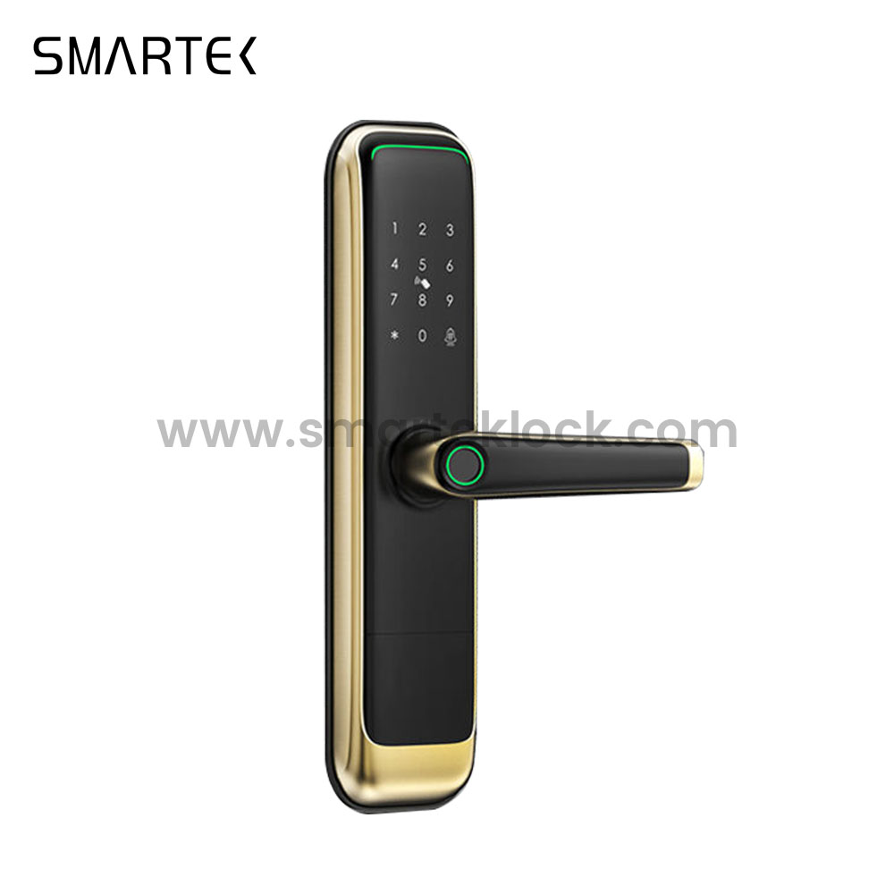 Luxury Smart Lock For Home Digital Door Lock Fingerprint Lock