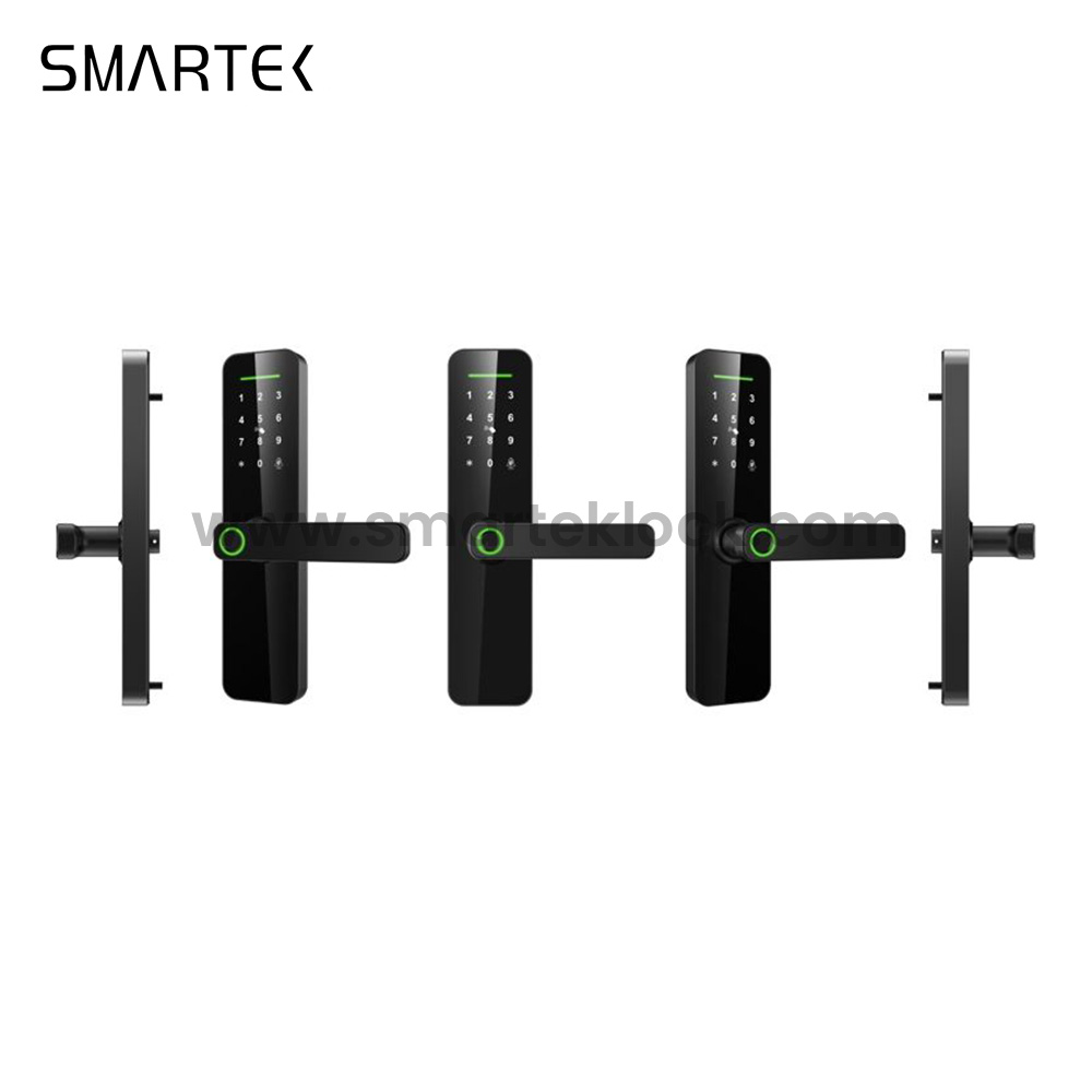 For Most Competitive Ever Main Entrance Digital Biometric Tuya Smart Fingerprint Door Lock for Wood Cloud Anti-theft Wi-Fi