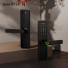 For Most Competitive Ever Main Entrance Digital Biometric Tuya Smart Fingerprint Door Lock for Wood Cloud Anti-theft Wi-Fi