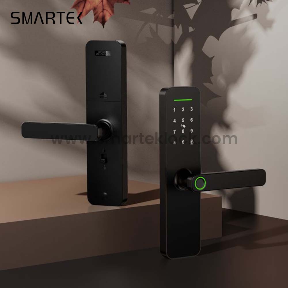 For Most Competitive Ever Main Entrance Digital Biometric Tuya Smart Fingerprint Door Lock for Wood Cloud Anti-theft Wi-Fi