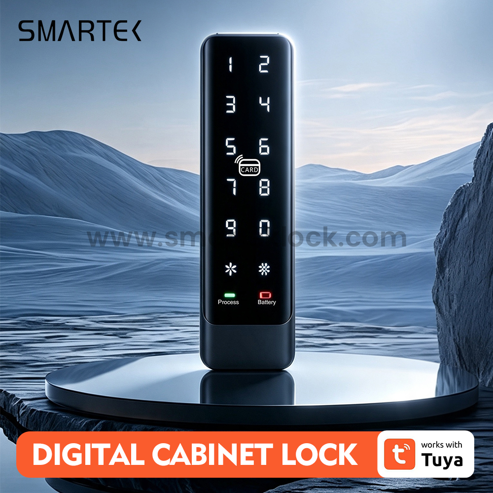 China Smart Lock