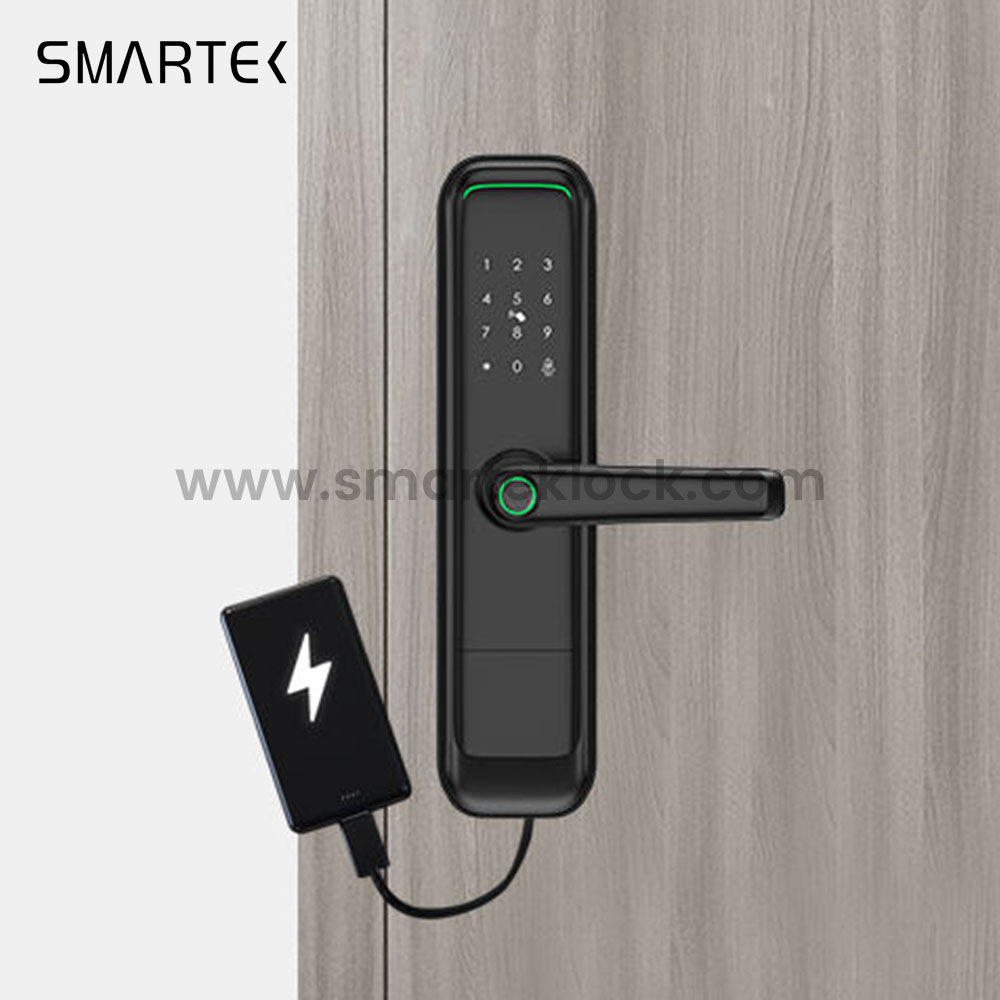 Luxury Smart Lock For Home Digital Door Lock Fingerprint Lock