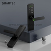 For Most Competitive Ever Main Entrance Digital Biometric Tuya Smart Fingerprint Door Lock for Wood Cloud Anti-theft Wi-Fi