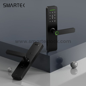 For Most Competitive Ever Main Entrance Digital Biometric Tuya Smart Fingerprint Door Lock for Wood Cloud Anti-theft Wi-Fi