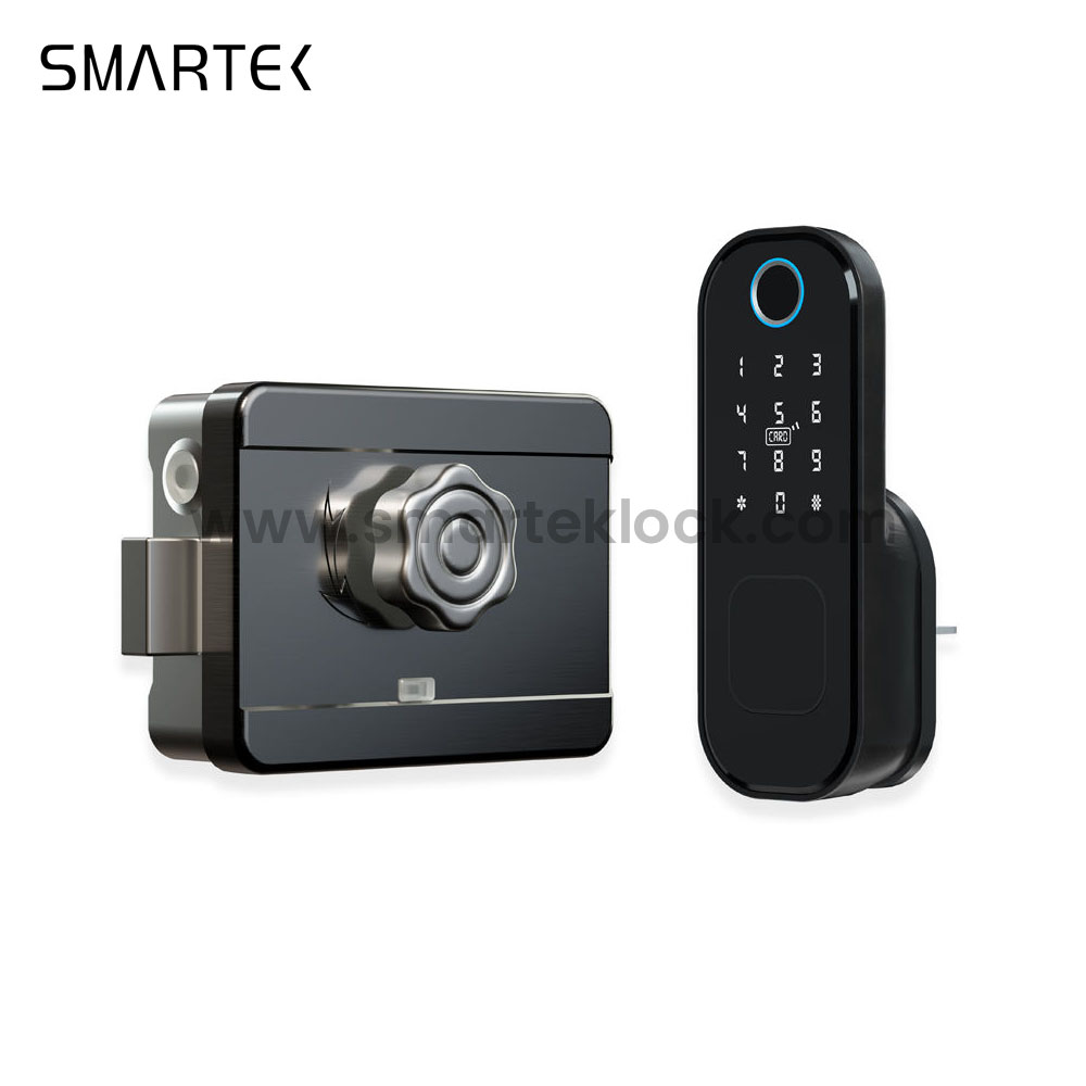 Waterproof for Smart Biometric Fingerprint Security Dual Side Rim Lock for Wood Door Zinc Alloy Cloud Remote Control