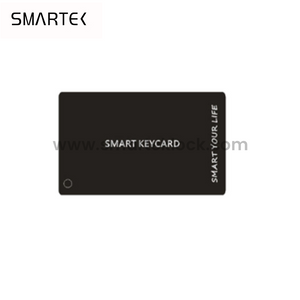 Hotel Door Lock Ttlock Tuya WIFI M1 RFID Card