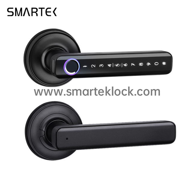fingerprint lock for door