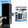 swing glass door smart lock