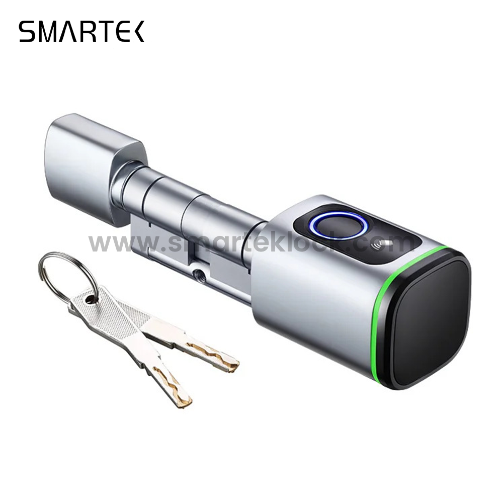 Portable Intelligent Biometric Fingerprint Cylinder Lock Tuya Smart Lock for Cloud Steel/Brass/Glass Aluminum Alloy Glass