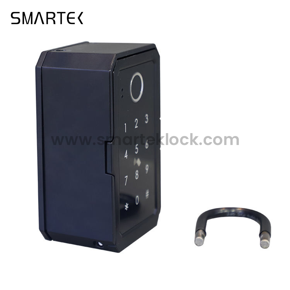 Zinc Alloy Fingerprint Wall-Mounted Door Lock with Key Box and Cloud Support for Wood/Glass/Aluminum/Steel Doors for K3