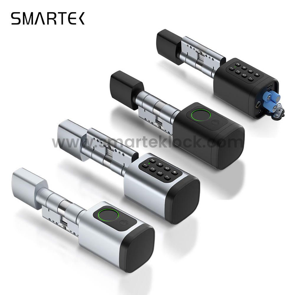V1 TTLOCK Fingerprint Card Keyed -enabled Cloud Storage Smart Cylinder Lock for Stainless Steel Doors