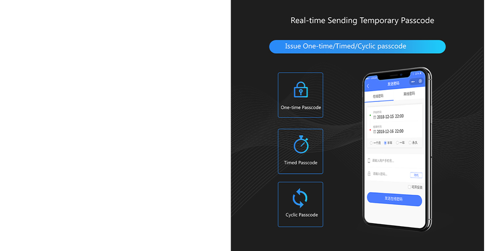  Rental Apartment Solution 
