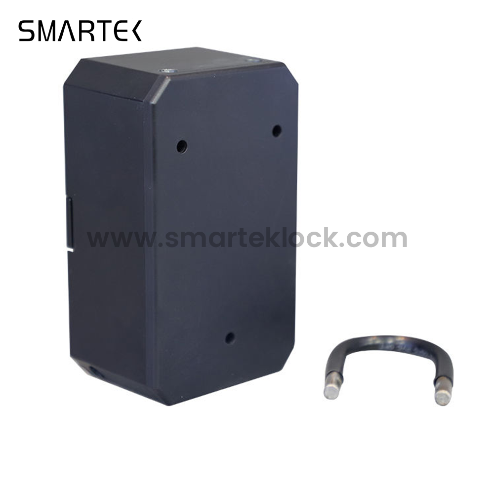 Zinc Alloy Fingerprint Wall-Mounted Door Lock with Key Box and Cloud Support for Wood/Glass/Aluminum/Steel Doors for K3