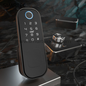 Waterproof for Smart Biometric Fingerprint Security Dual Side Rim Lock for Wood Door Zinc Alloy Cloud Remote Control
