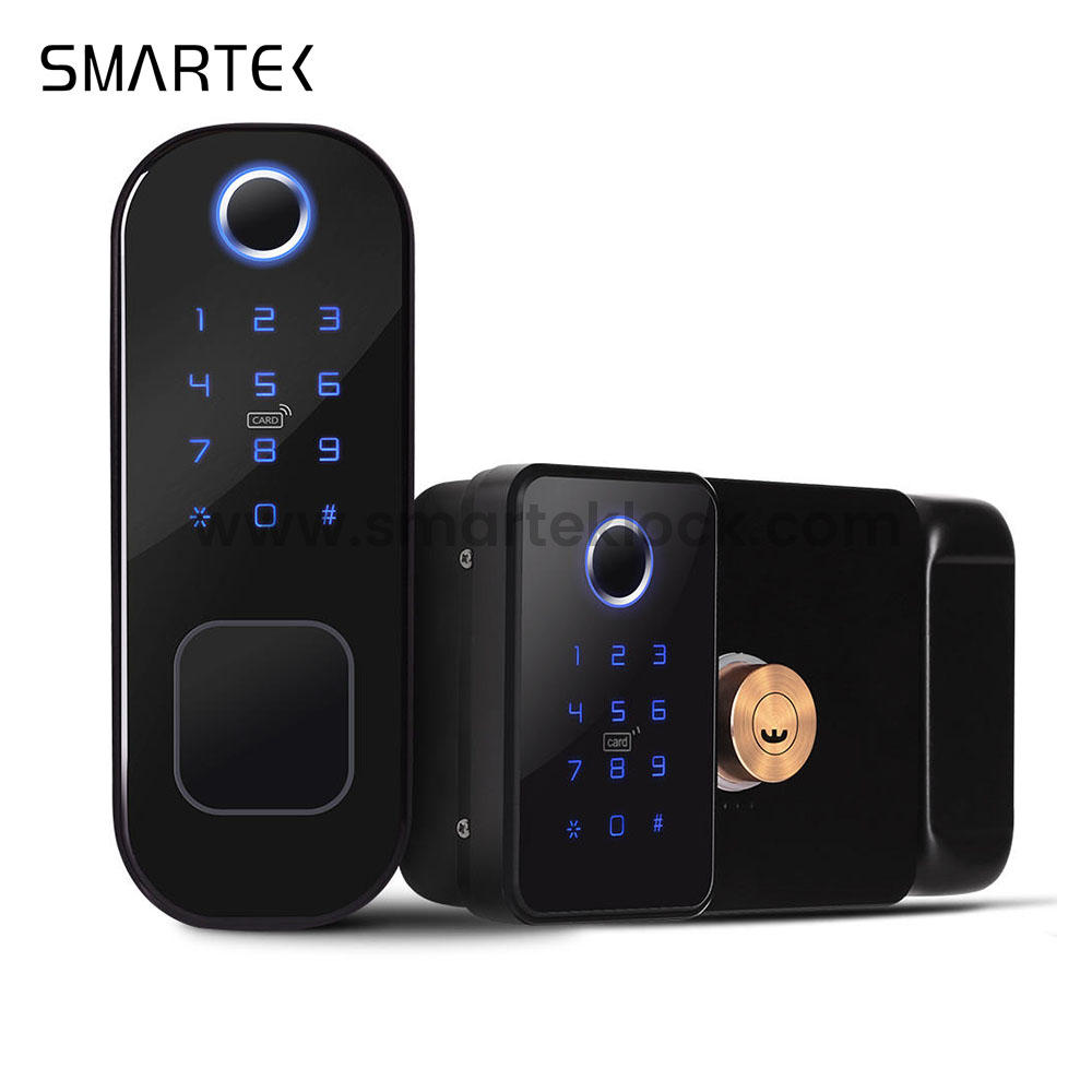 Waterproof for Smart Biometric Fingerprint Security Dual Side Rim Lock for Wood Door Zinc Alloy Cloud Remote Control