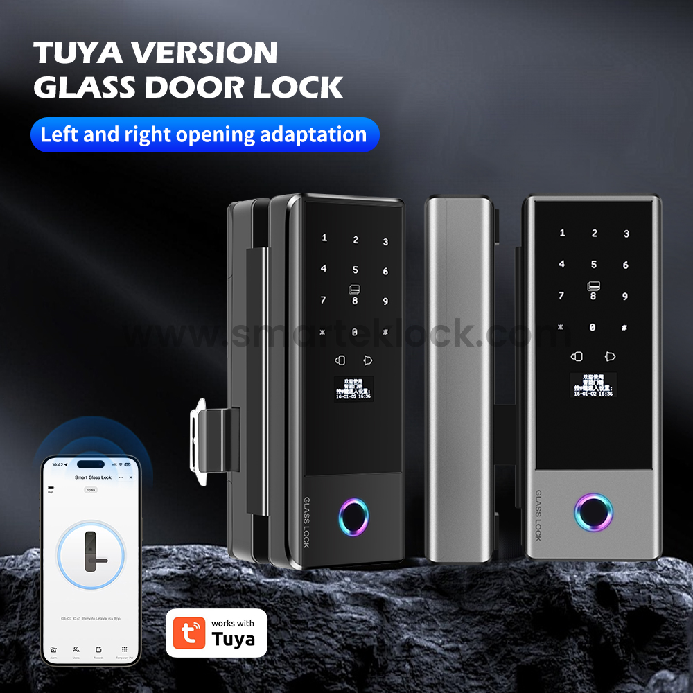 tuya smart lock for glass door