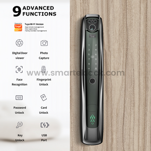 Smart Security Aluminum Alloy Electronic Keyless Waterproof Anti-Theft Digital Rechargeable Door Key Emergency Fingerprint Video