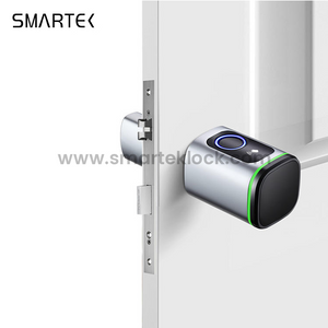 Portable Intelligent Biometric Fingerprint Cylinder Lock Tuya Smart Lock for Cloud Steel/Brass/Glass Aluminum Alloy Glass