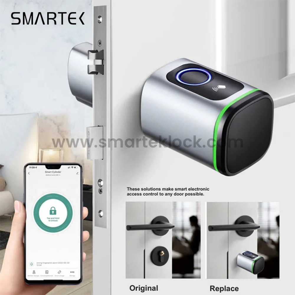 Portable Intelligent Biometric Fingerprint Cylinder Lock Tuya Smart Lock for Cloud Steel/Brass/Glass Aluminum Alloy Glass