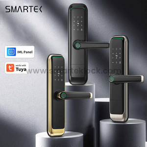 Luxury Smart Lock For Home Digital Door Lock Fingerprint Lock