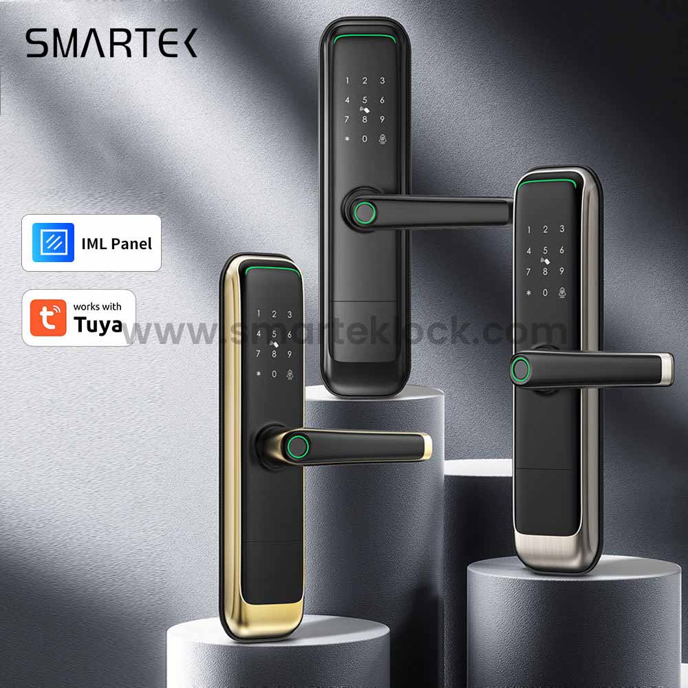 Luxury Smart Lock For Home Digital Door Lock Fingerprint Lock