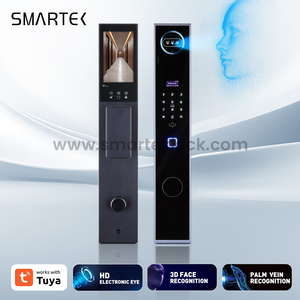 Automatic Peep Hole Lock Face Recognition Palm Vein Smart Lock